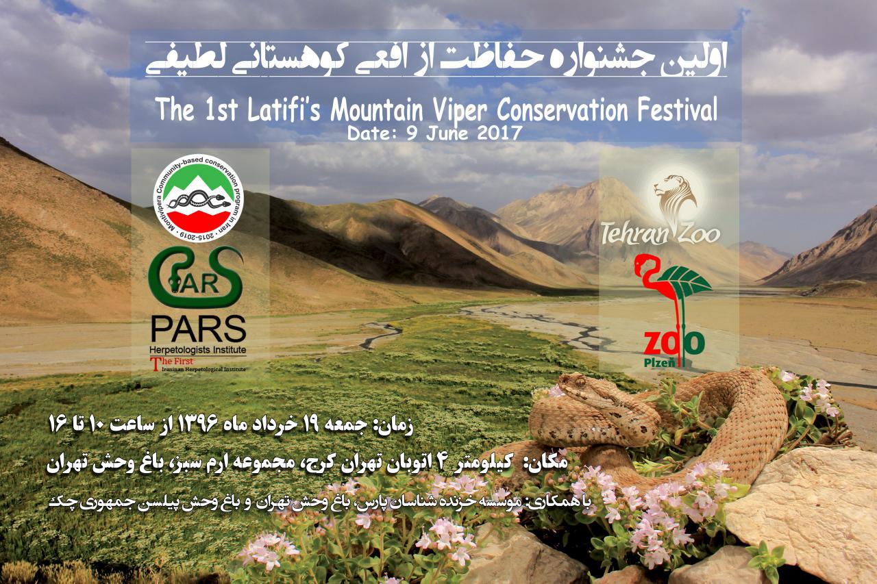 اولین جشنواره حفاظت از افعی کوهستانی لطیفی